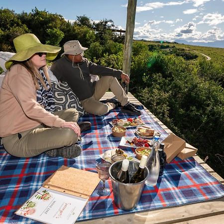 Garden Route Game Lodge Albertinia Exterior photo