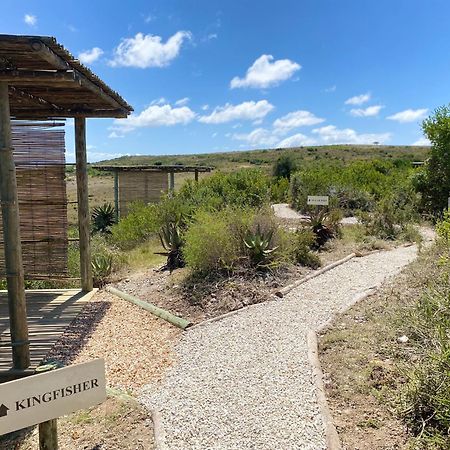 Garden Route Game Lodge Albertinia Exterior photo