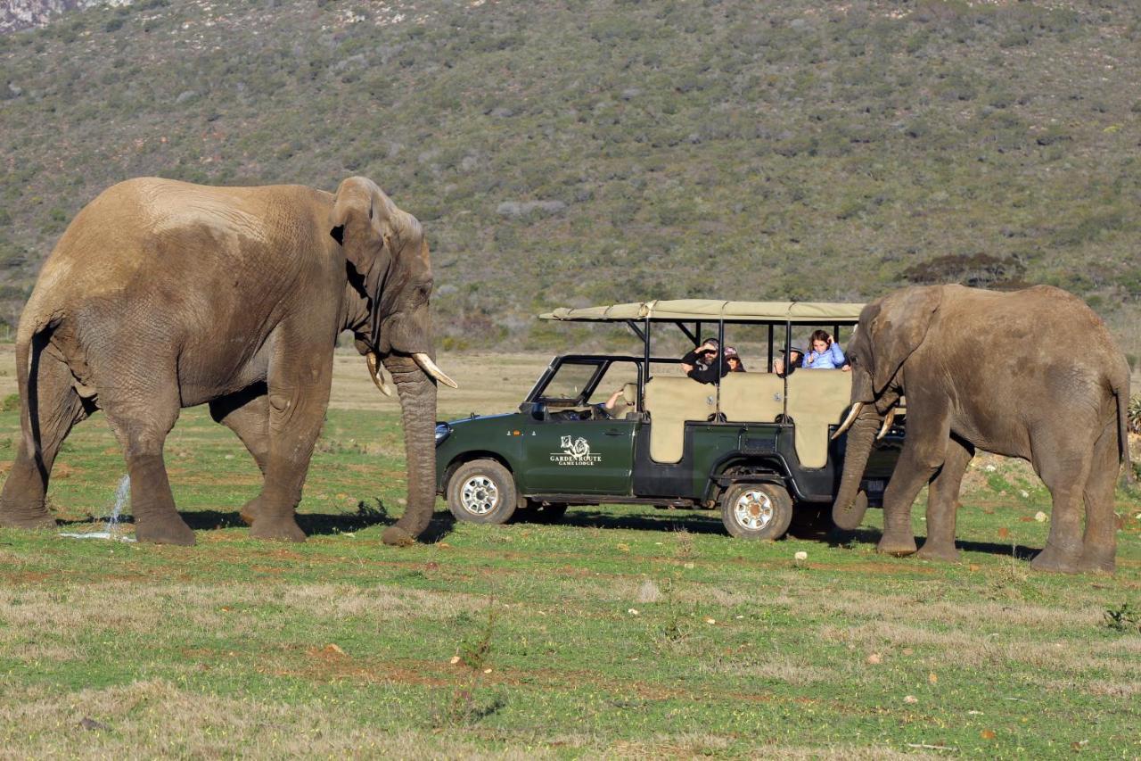Garden Route Game Lodge Albertinia Exterior photo