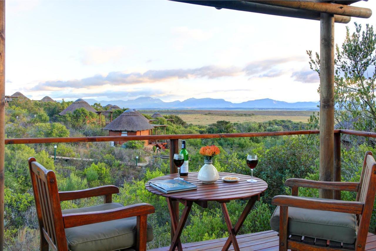 Garden Route Game Lodge Albertinia Exterior photo