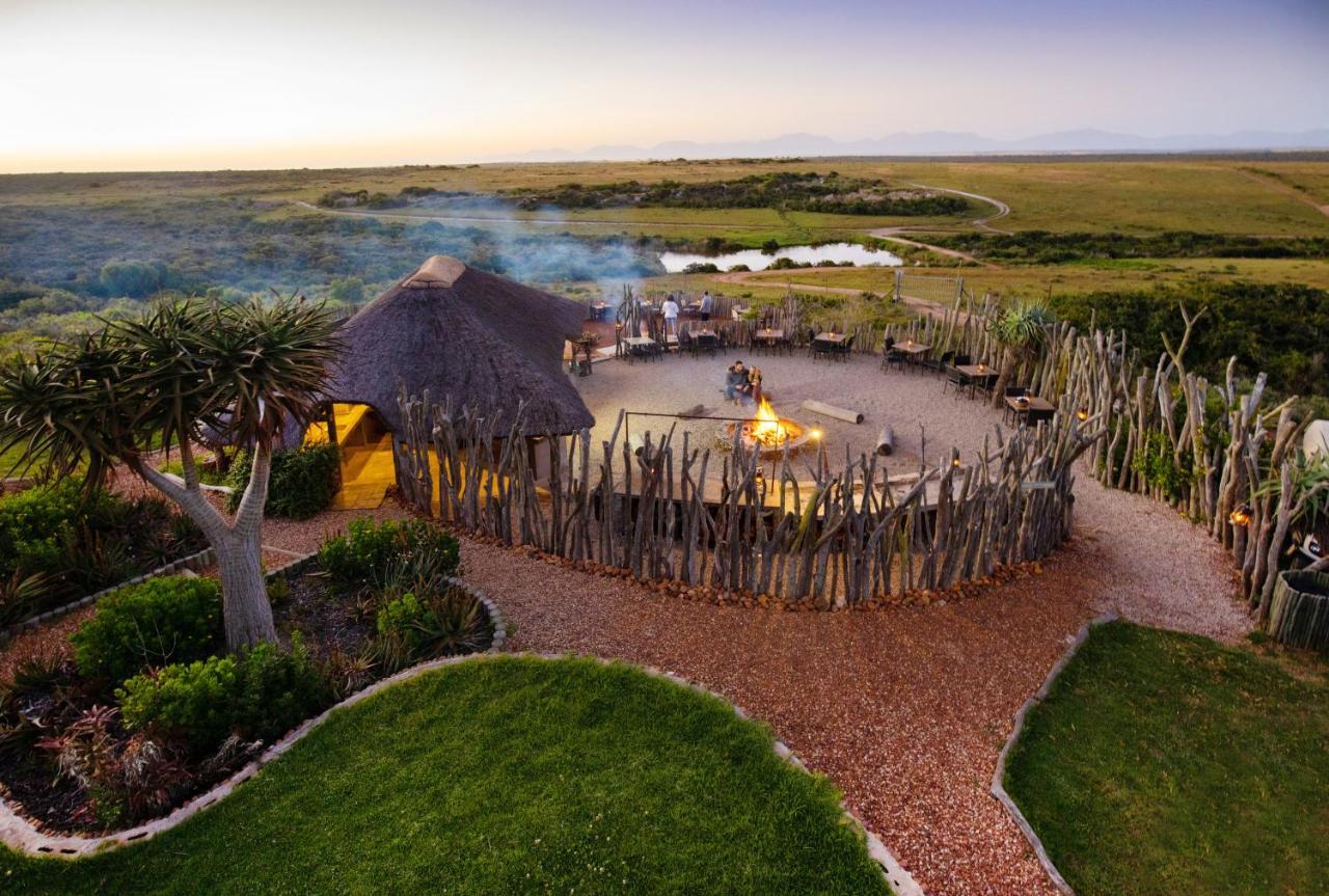 Garden Route Game Lodge Albertinia Exterior photo