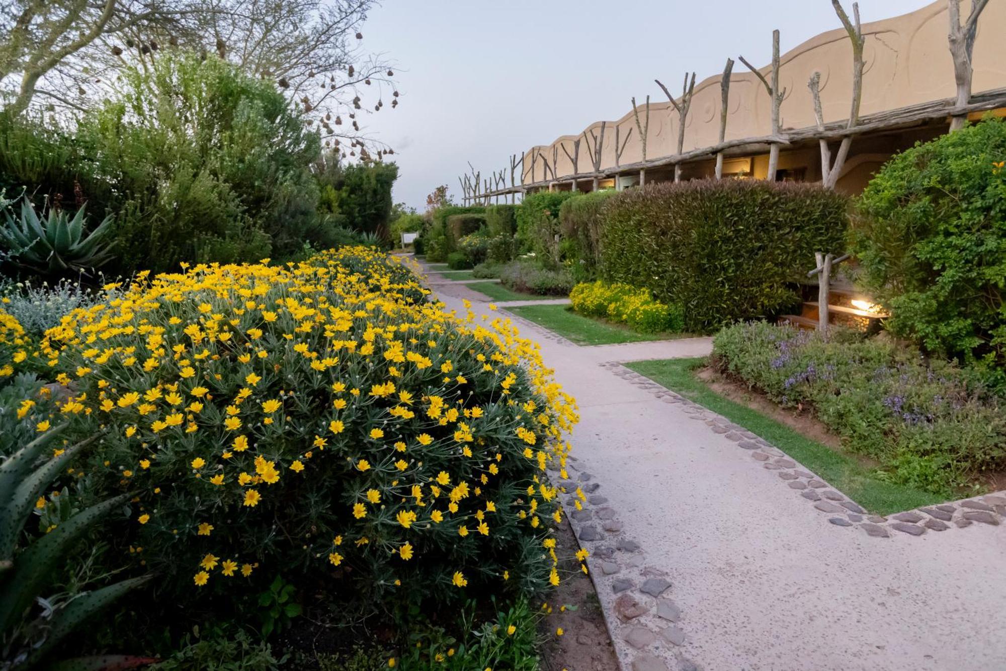 Garden Route Game Lodge Albertinia Exterior photo